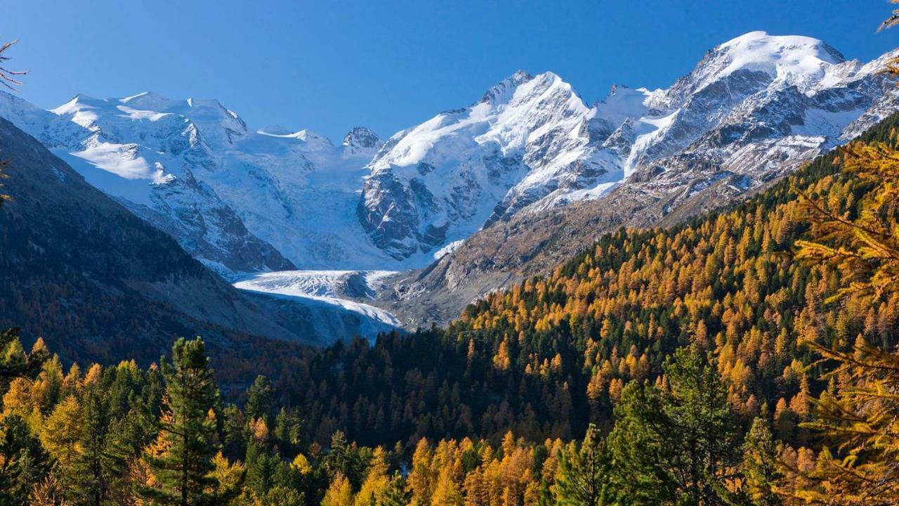 Hotel Morteratsch Pontresina Ngoại thất bức ảnh